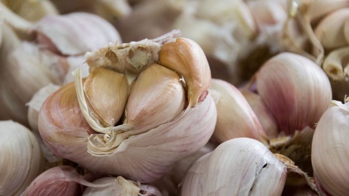 Cabezas de ajo español
