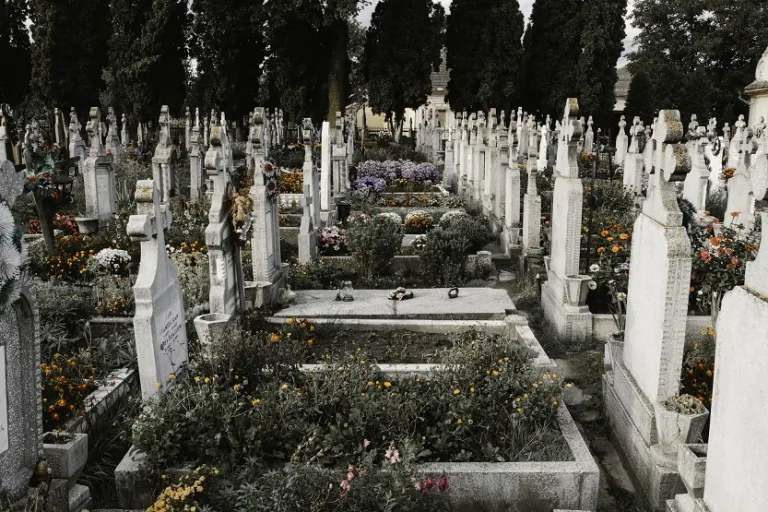 Cementerio-Anton-Darius-Unsplash