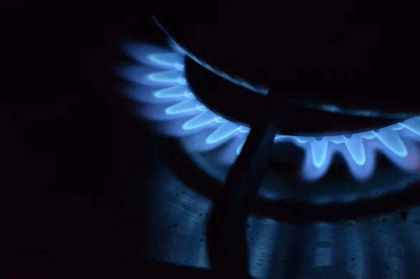 En este momento estás viendo Horno de gas: tipos y consejos de compra