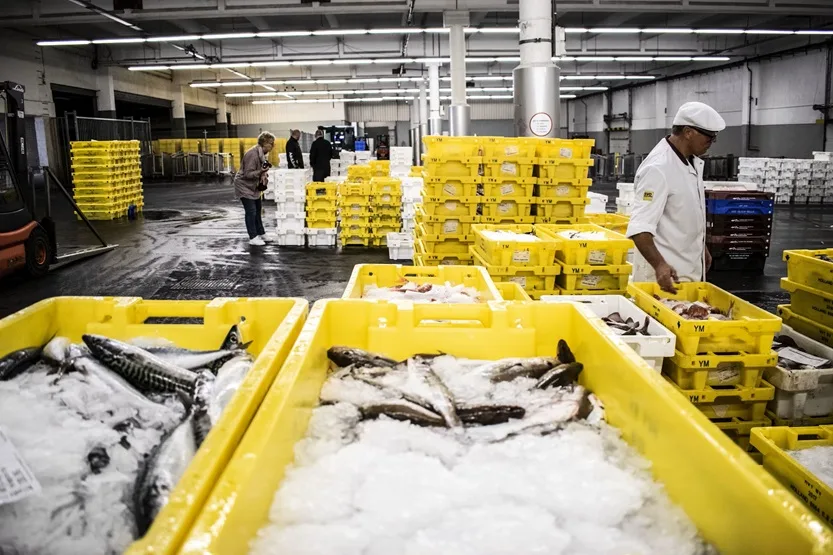 Lee más sobre el artículo Venta directa de productos pesqueros a consumidores en Cataluña