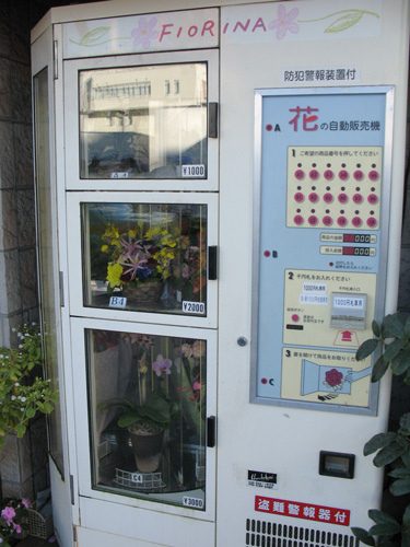 Máquina de vending de flores Fiorina (Wikimedia)
