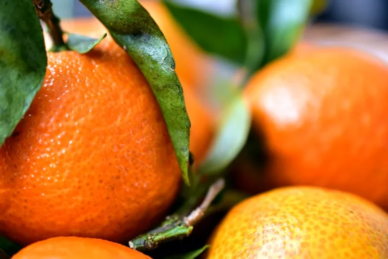 Naranjas piel de naranja (Ries Bosch Unsplash)
