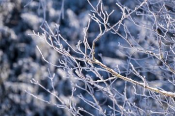 Autopista condenada a indemnizar 150 euros a los perjudicados por nevada en 2004