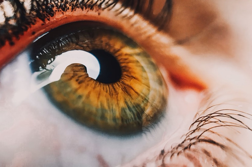 Lee más sobre el artículo Cómo prevenir la fatiga ocular por el uso excesivo del ordenador