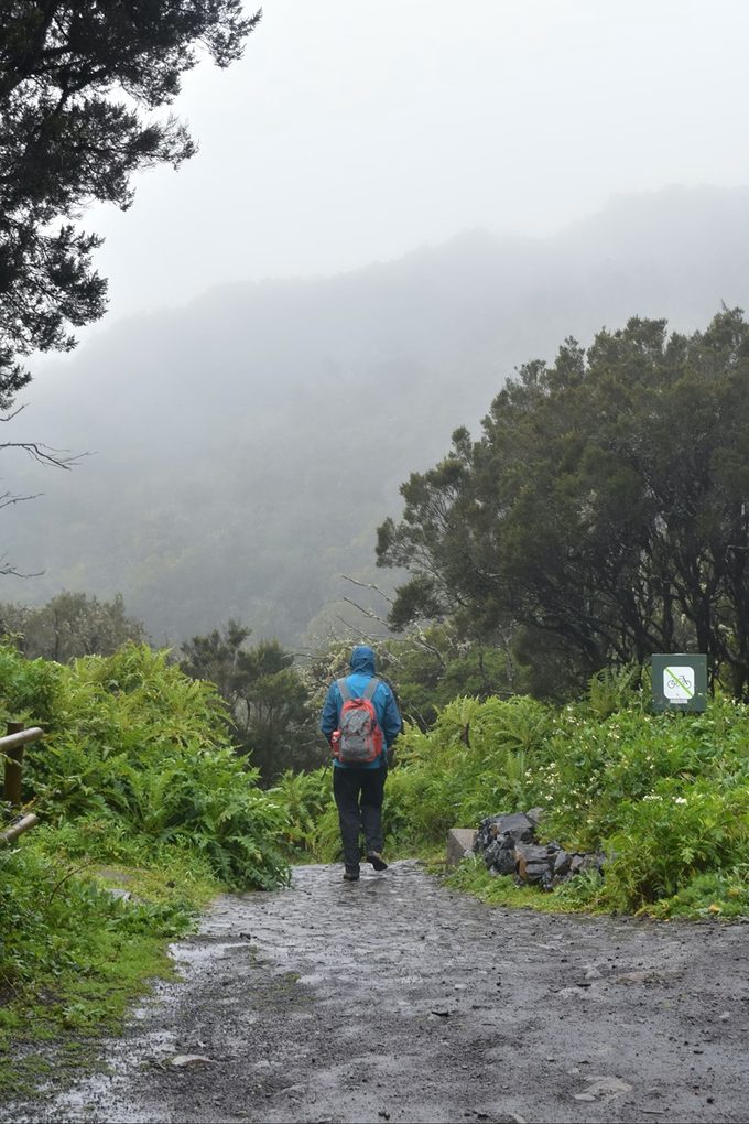 Parque Nacional de Garajonay La Gomera (Annie Knitter Unsplash)