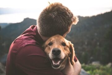 Reglamento de la Ley de perros de asistencia en Canarias