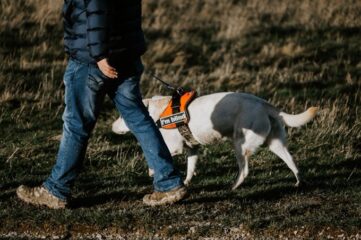 Derechos de las personas con perros de asistencia en Canarias
