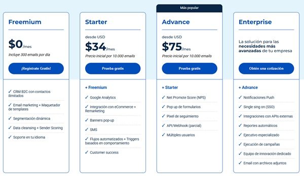 Precios MDirector