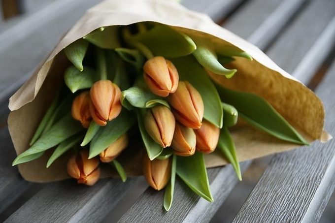 Tulipanes